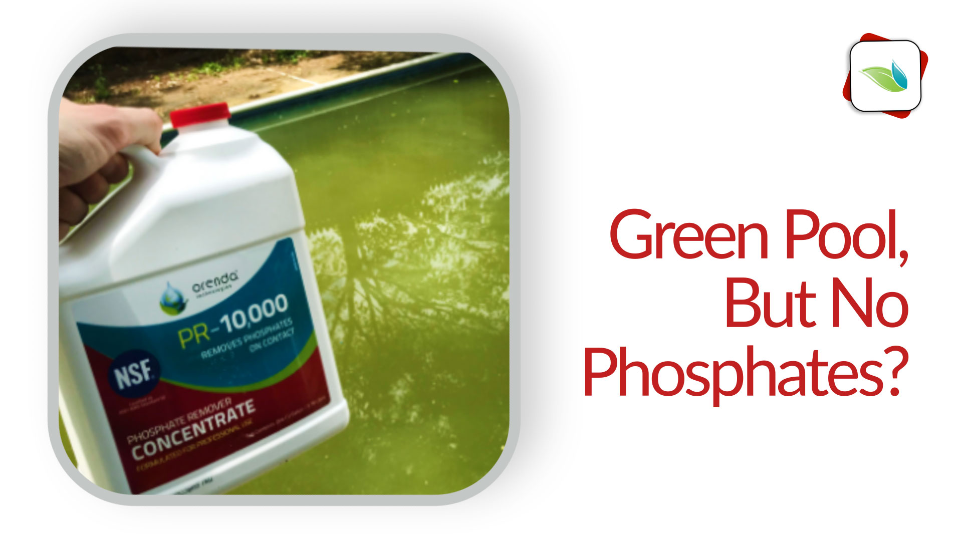 Green Pool, But No Phosphates?